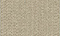 Contempo-b-572462-4