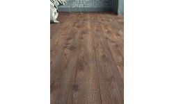 Effect Exclusive Pamir