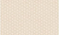 Contempo-b-572462-3