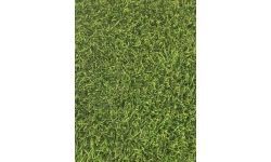 40 MM ��M HALI - Elite LUP�N - 2440gr